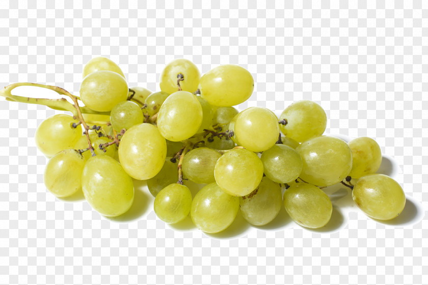 March 8 Madeleine Angevine Grapevines Sultana Seedless Fruit PNG