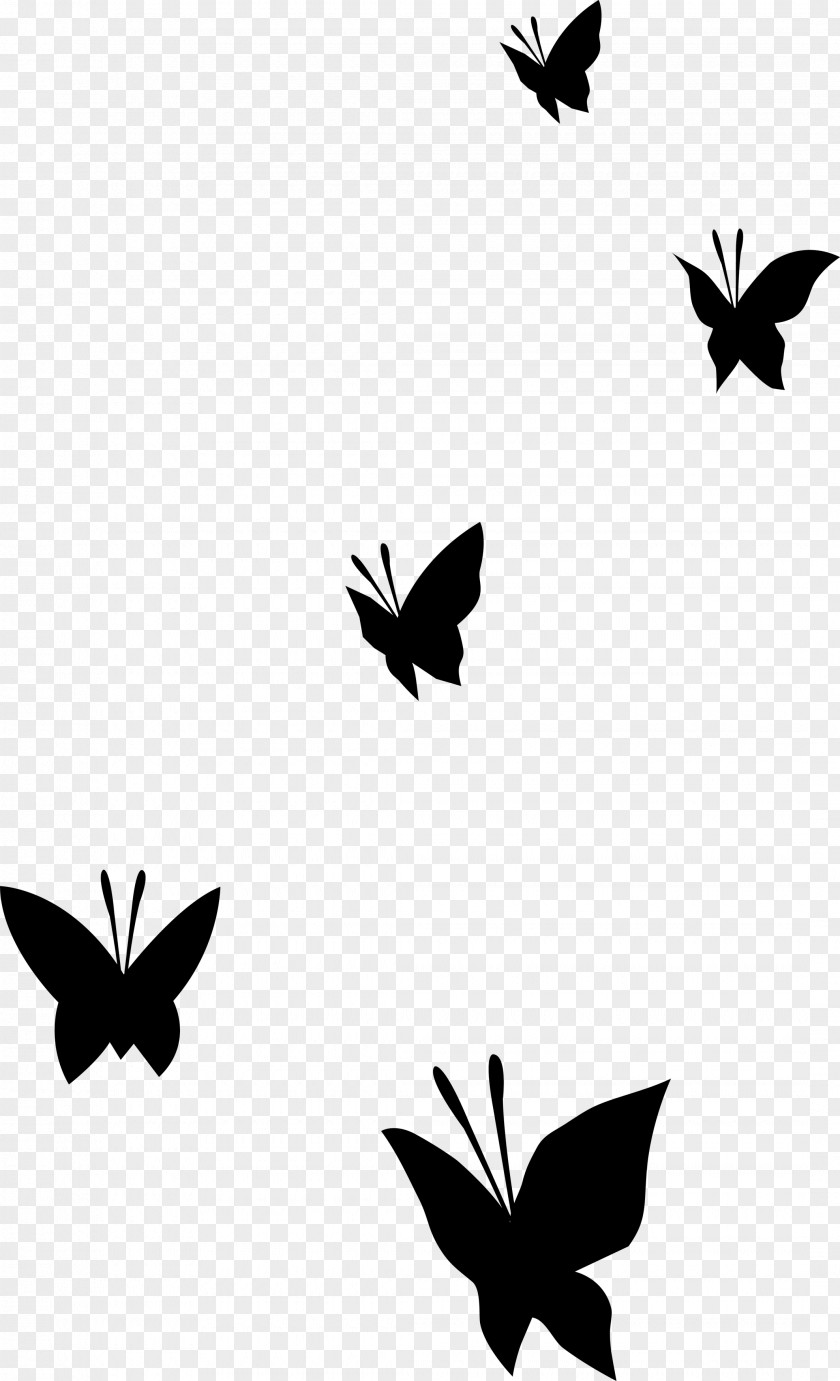 Monarch Butterfly Clip Art Drum Brush-footed Butterflies PNG