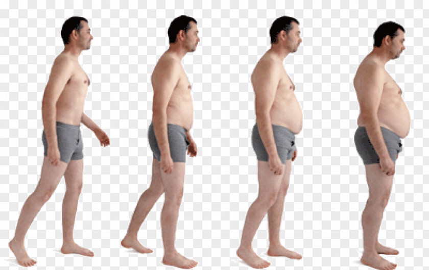 Weight Gain Human Body Loss Obesity Food PNG
