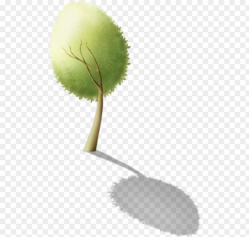 Animation Drawing Cartoon Image Tree PNG