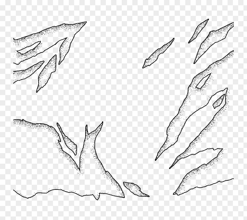 Effectfestival Drawing Line Art Feather Sketch PNG