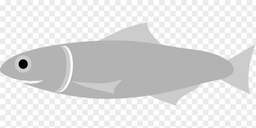 Fish European Anchovy Drawing Clip Art PNG