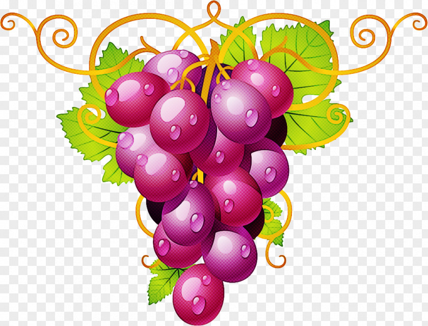 Grape Seedless Fruit Grapevine Family Plant PNG