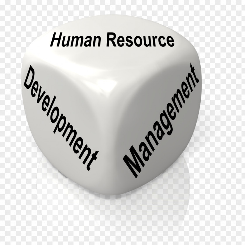 Human Resource Animation Presentation Clip Art PNG