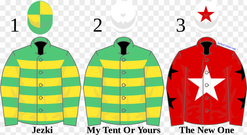 Jacket 2014 Champion Hurdle Cheltenham Racecourse Sweater PNG