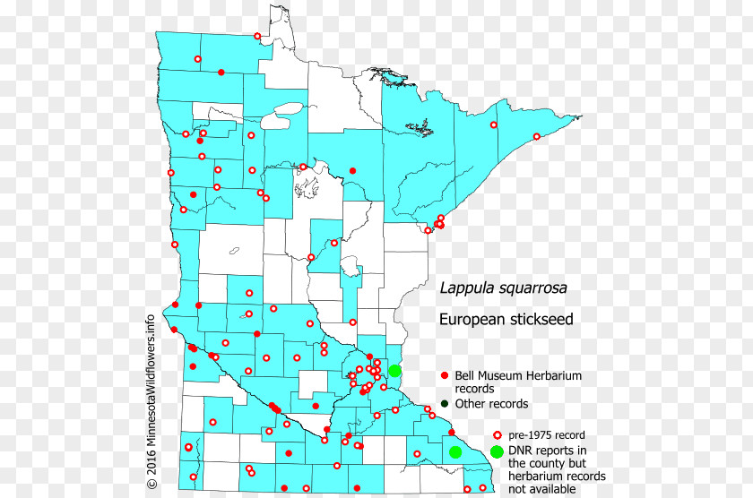 Line Point Map Organism Tuberculosis PNG