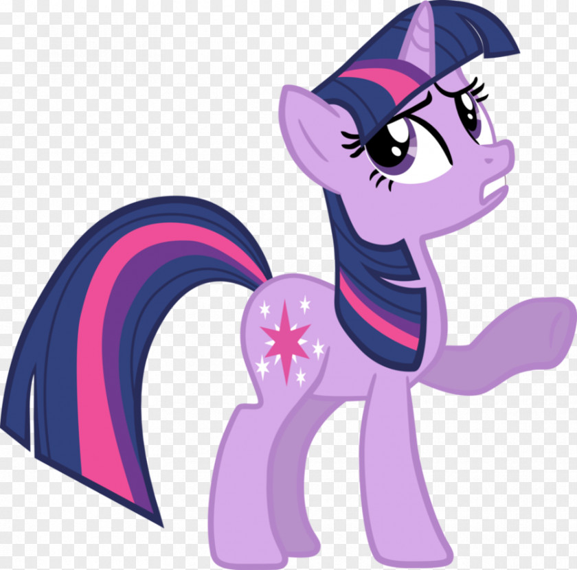 Twilight Sparkle Applejack Rarity Rainbow Dash Pinkie Pie PNG