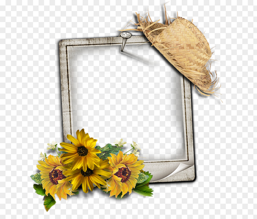 Cornici Picture Frames Photography TinyPic PNG