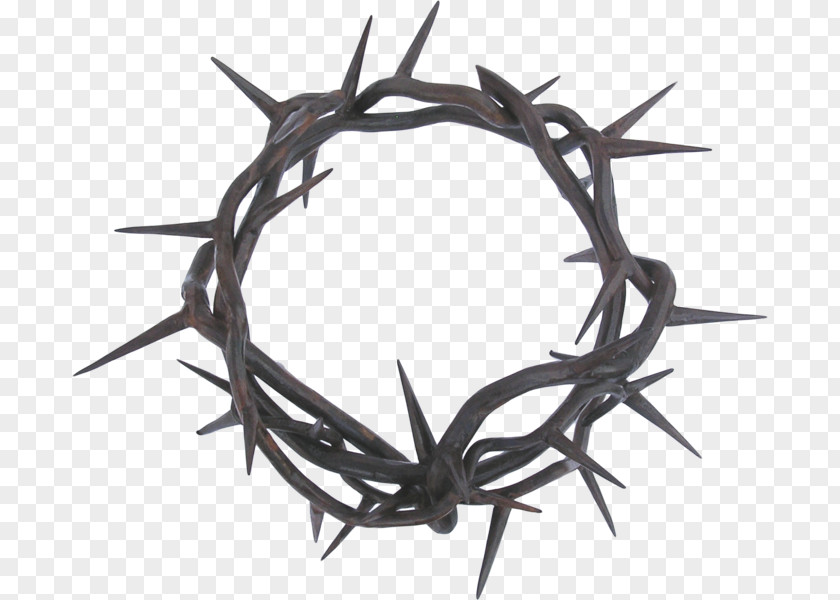 Crown Of Thorns Thorns, Spines, And Prickles Clip Art PNG