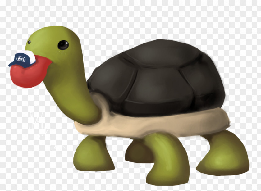 Franklin The Turtle Tortoise Product Design Fauna PNG