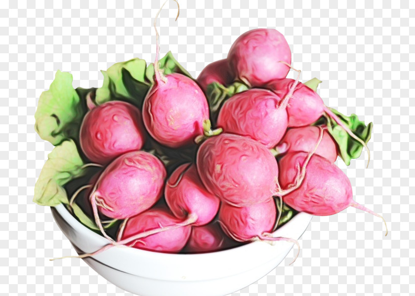 Superfood Beetroot Radish Turnip Vegetable Food Natural Foods PNG