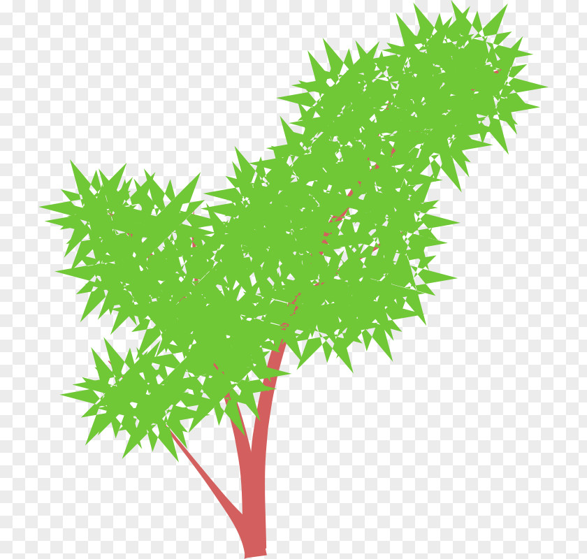 Tree Clip Art PNG