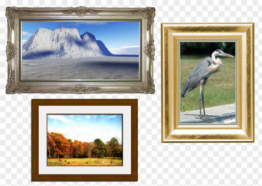 Window Painting Picture Frames Fauna PNG