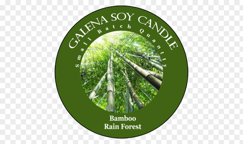 Bamboo Forest Soy Candle Light Air Fresheners Room PNG