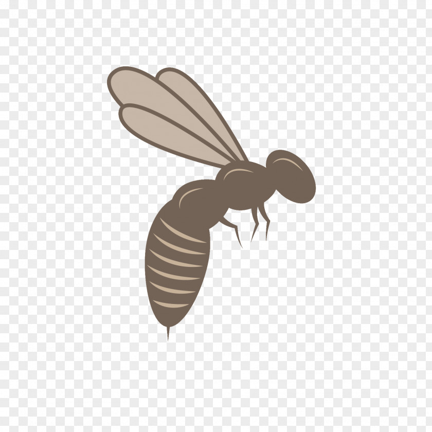 Bee Honey Beehive Mānuka PNG