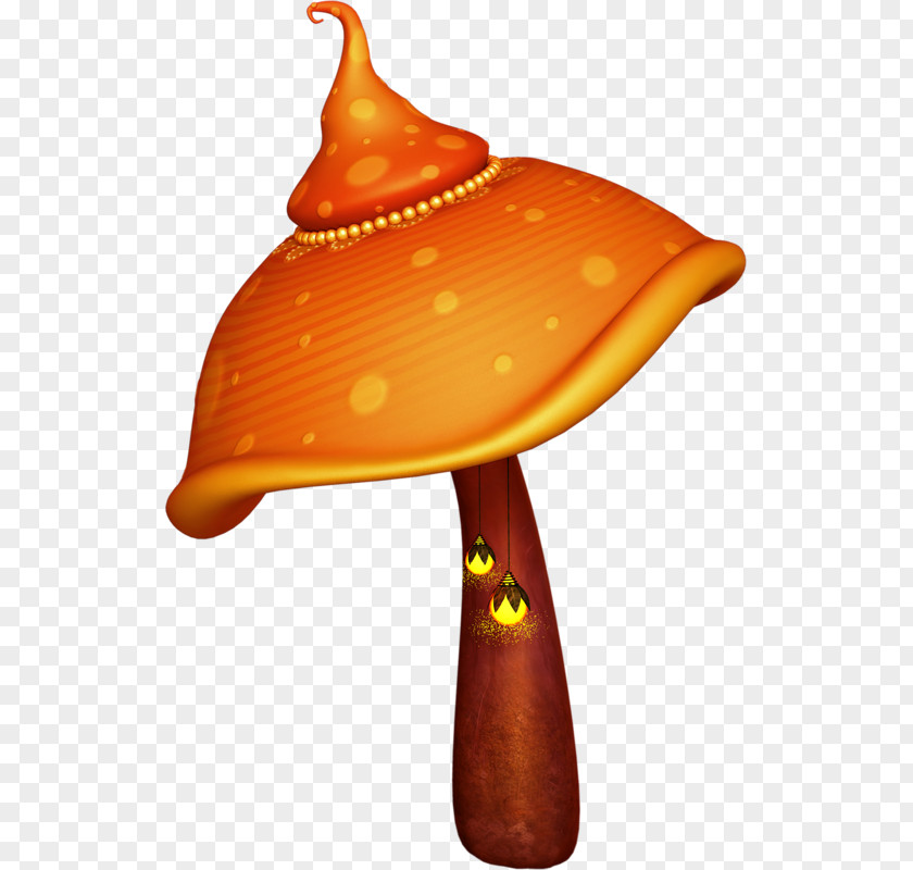 Bling Champignons Magiques Image Psilocybin Mushroom Internet PNG