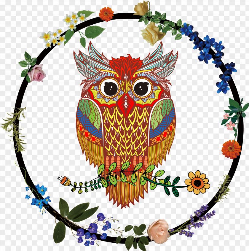 Color Owl Wreath Decoration Illustration PNG