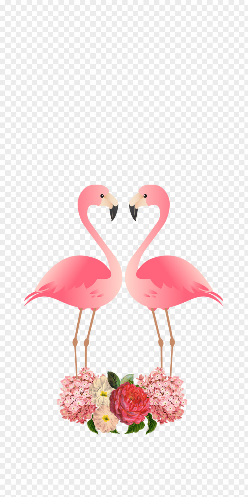 Heart Plant Flamingo PNG