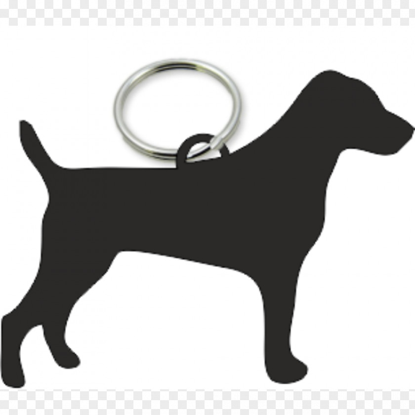 Jack Russell Dog Breed Puppy Leash Snout PNG