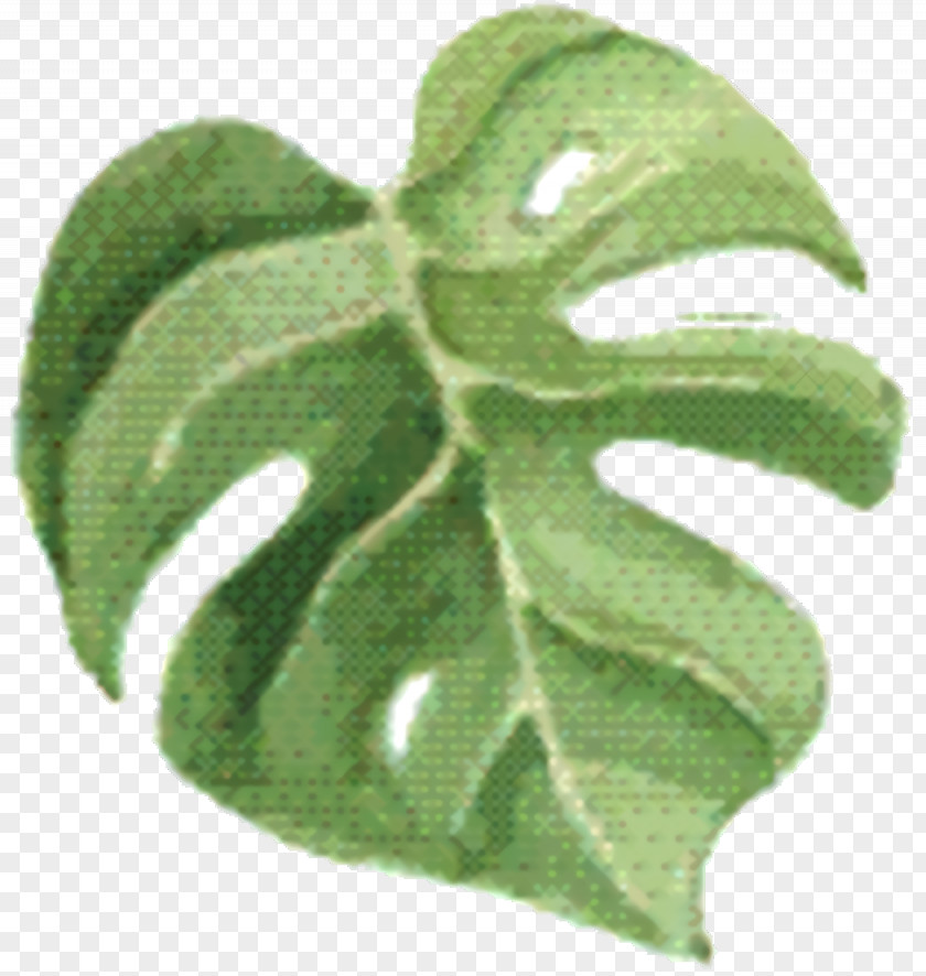 Plant Pathology Symbol Green Leaf Background PNG