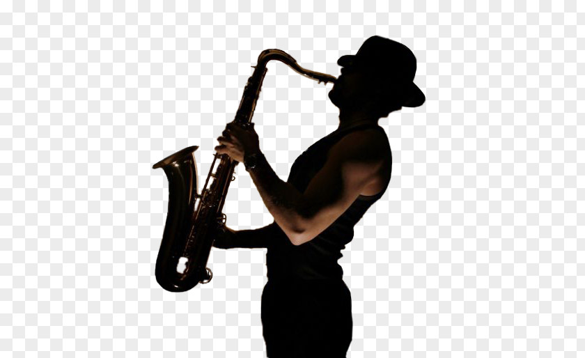 Saxophone Subcontrabass Musician Photography PNG