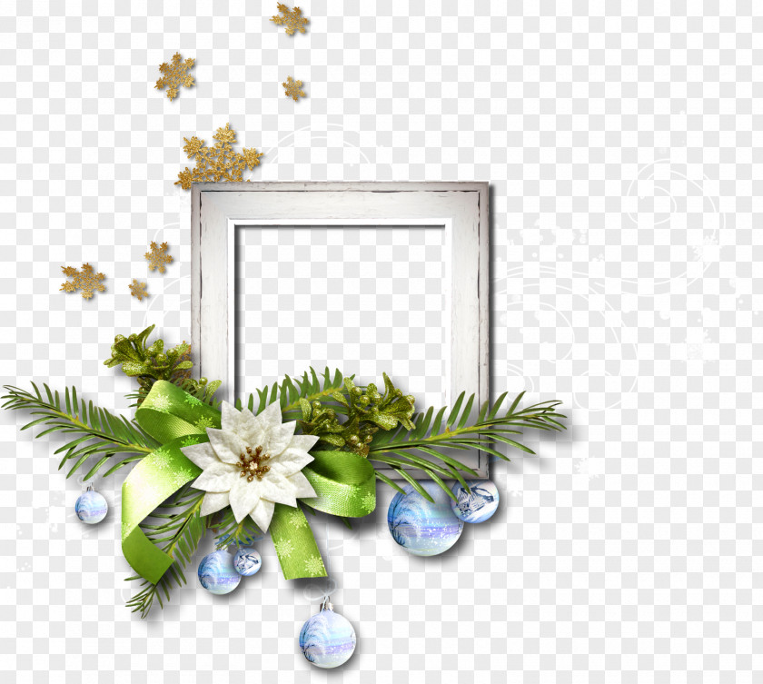 Winter Picture Frames Flower Clip Art PNG
