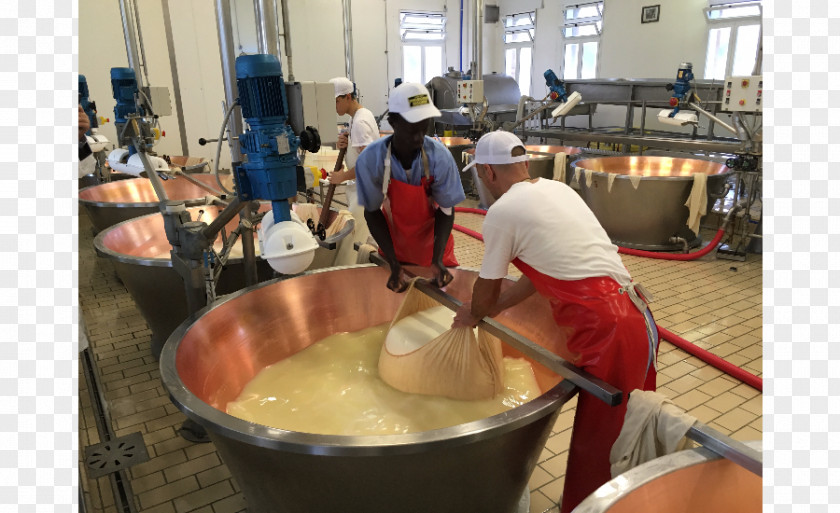 Cooking Italian Cuisine Cheesemaking Food Processing Ingredient PNG