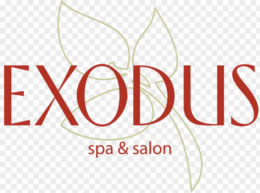 Exodus Spa Day The Dragonfly Fly Dragon PNG