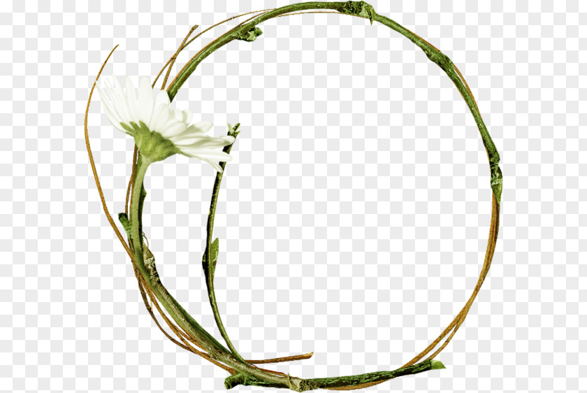 Flower Wreath Twig Clip Art PNG