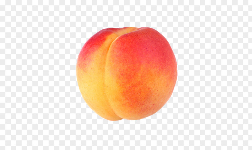 Peach Clip Art PNG