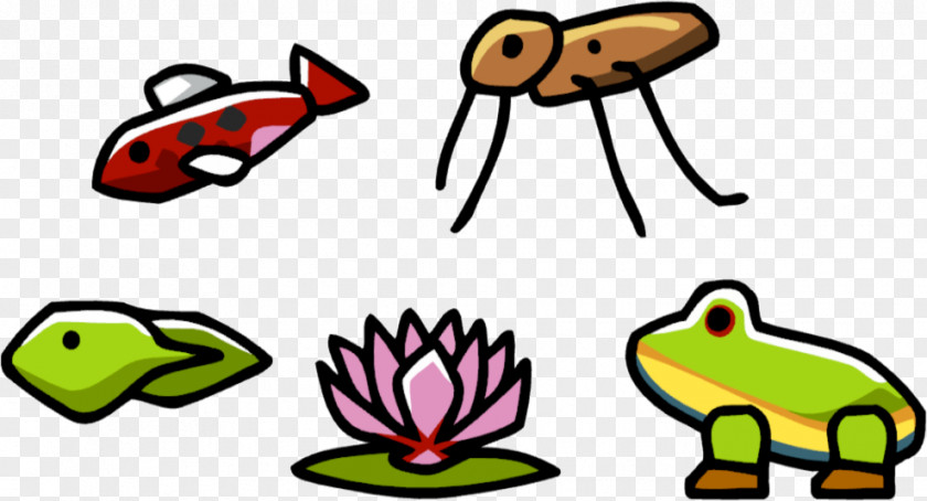 Pond Scribblenauts Remix Unlimited Frog Koi PNG