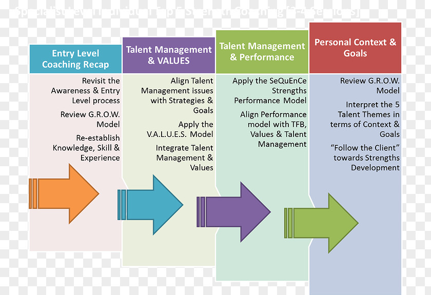 Talent Management Paper Graphic Design Diagram PNG