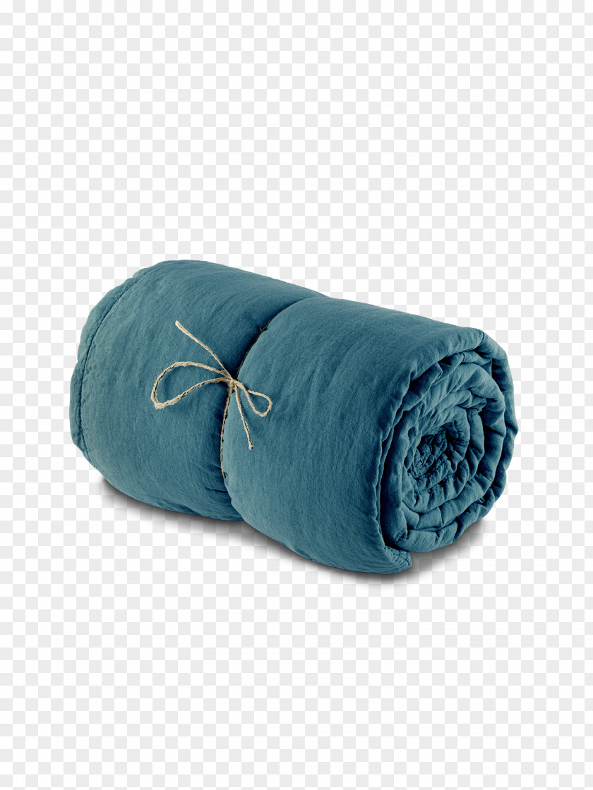 Aqua Wool Bed Cartoon PNG