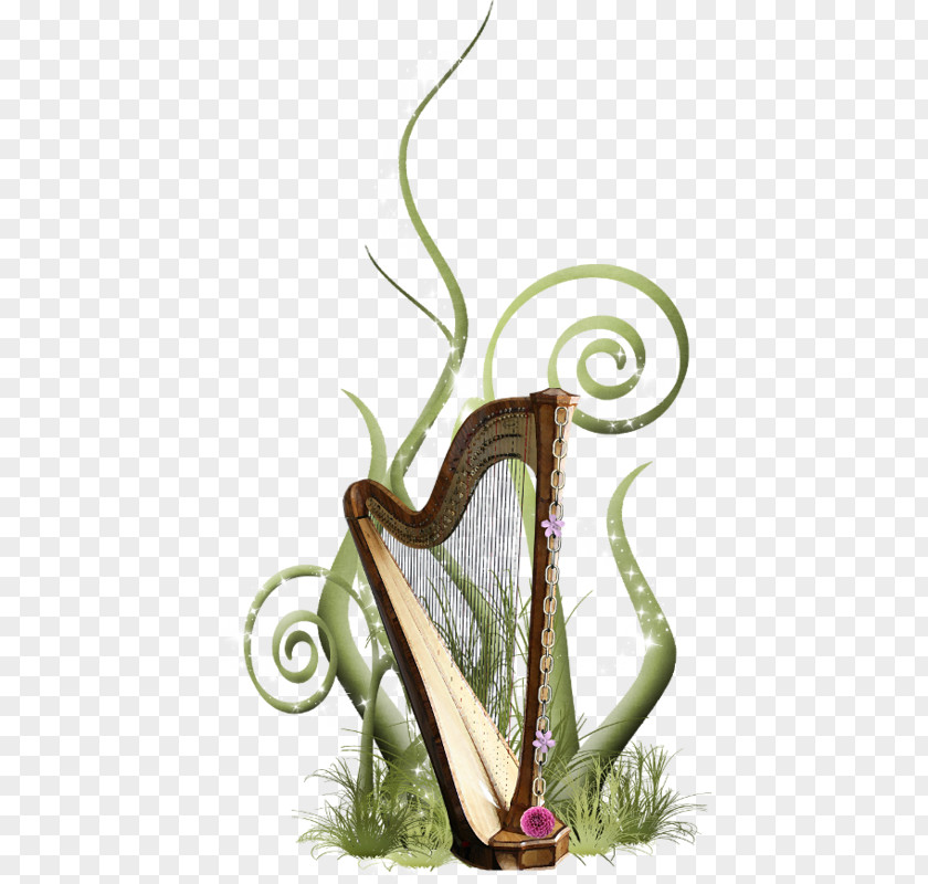 Beautiful Harp Musical Instrument Plucked String PNG
