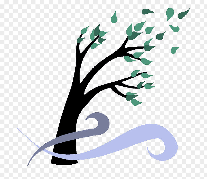 Branch Leaf Tree Font Plant PNG