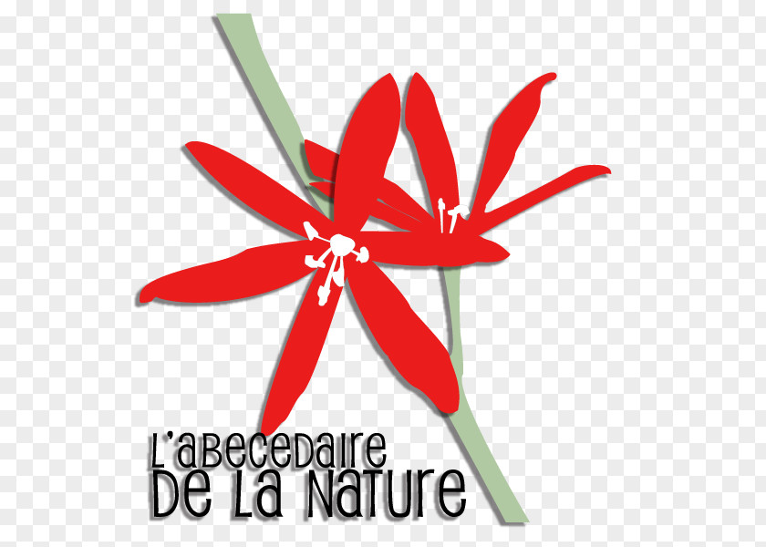 Line Logo Flowering Plant Font PNG