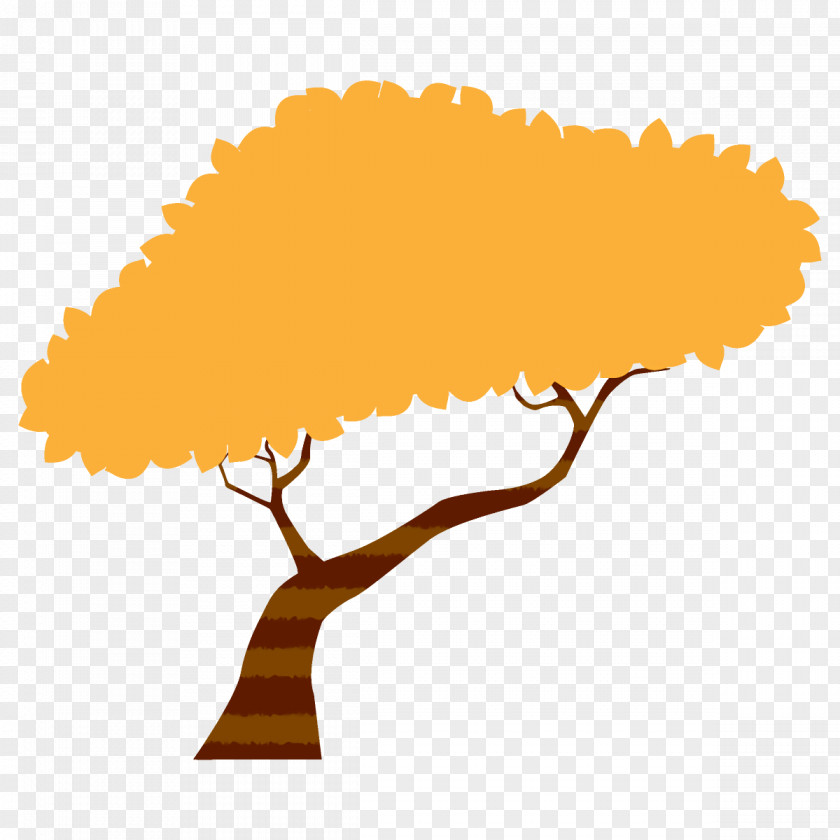 Plant Tree Autumn Broadleaf PNG