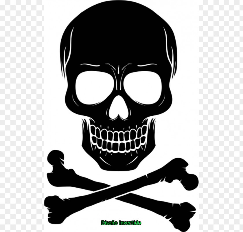 Rowing Calavera Graphic Design PNG