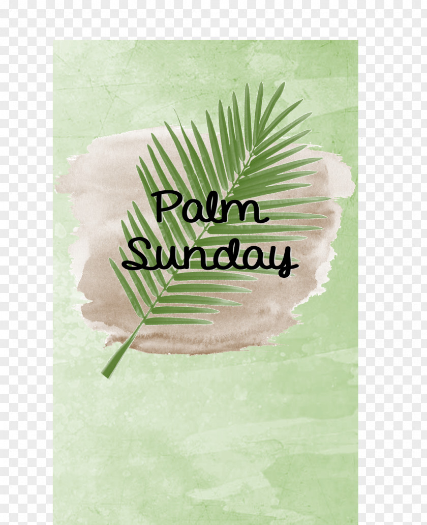 Sunday Green Leaf Font PNG