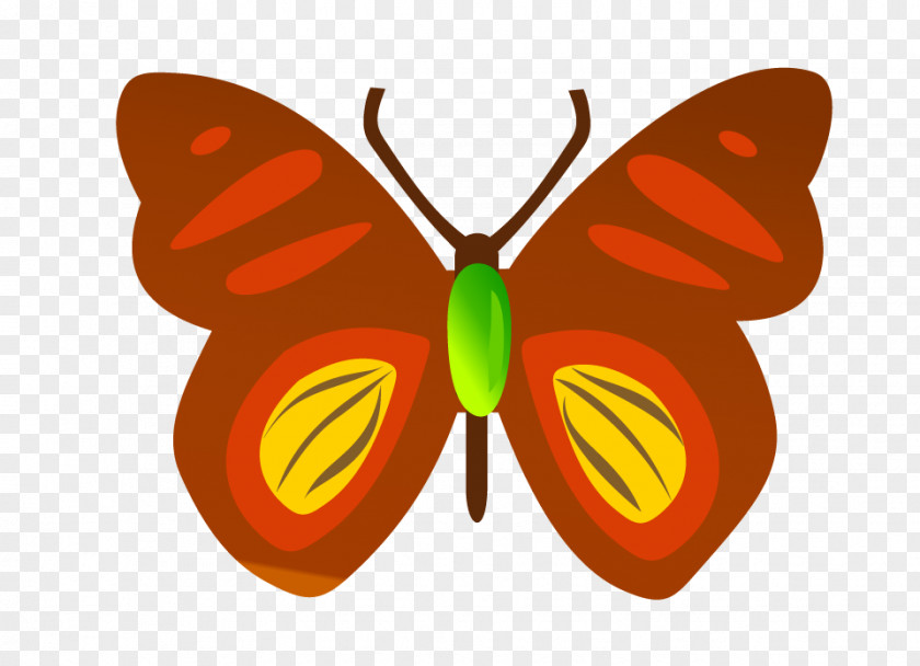 Vector Butterfly Insect Cdr Download PNG