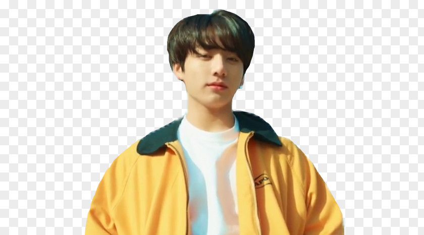 Wonder Pets Livedash Jungkook Euphoria BTS Love Yourself: Answer Anpanman PNG