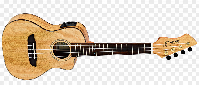Amancio Ortega PRS Guitars Cutaway Steel-string Acoustic Guitar PNG