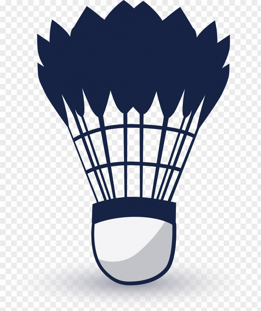 Badminton Shuttlecock Sport PNG