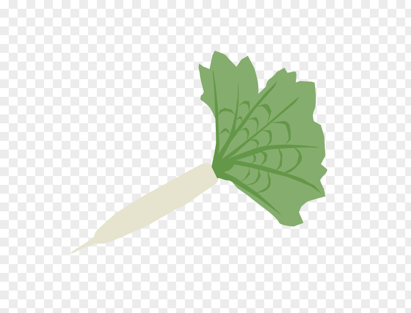 Chinese Cabbage Greens Cuisine Leaf PNG