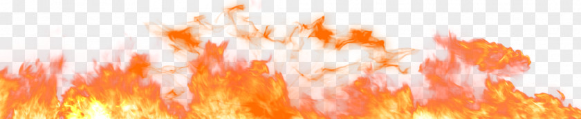 Fire Flame Light Clip Art PNG