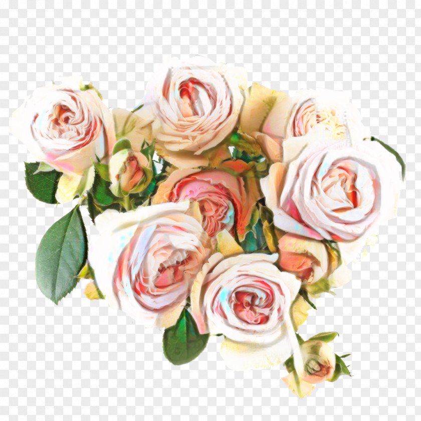 Garden Roses Cabbage Rose Cut Flowers Floral Design PNG