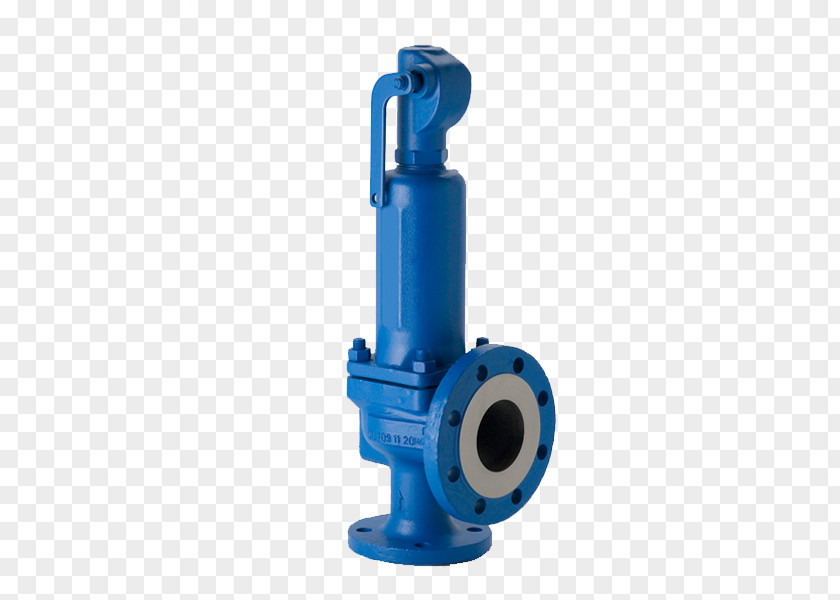 OMB Valves 3 4 800 Safety Valve Relief Control Globe PNG