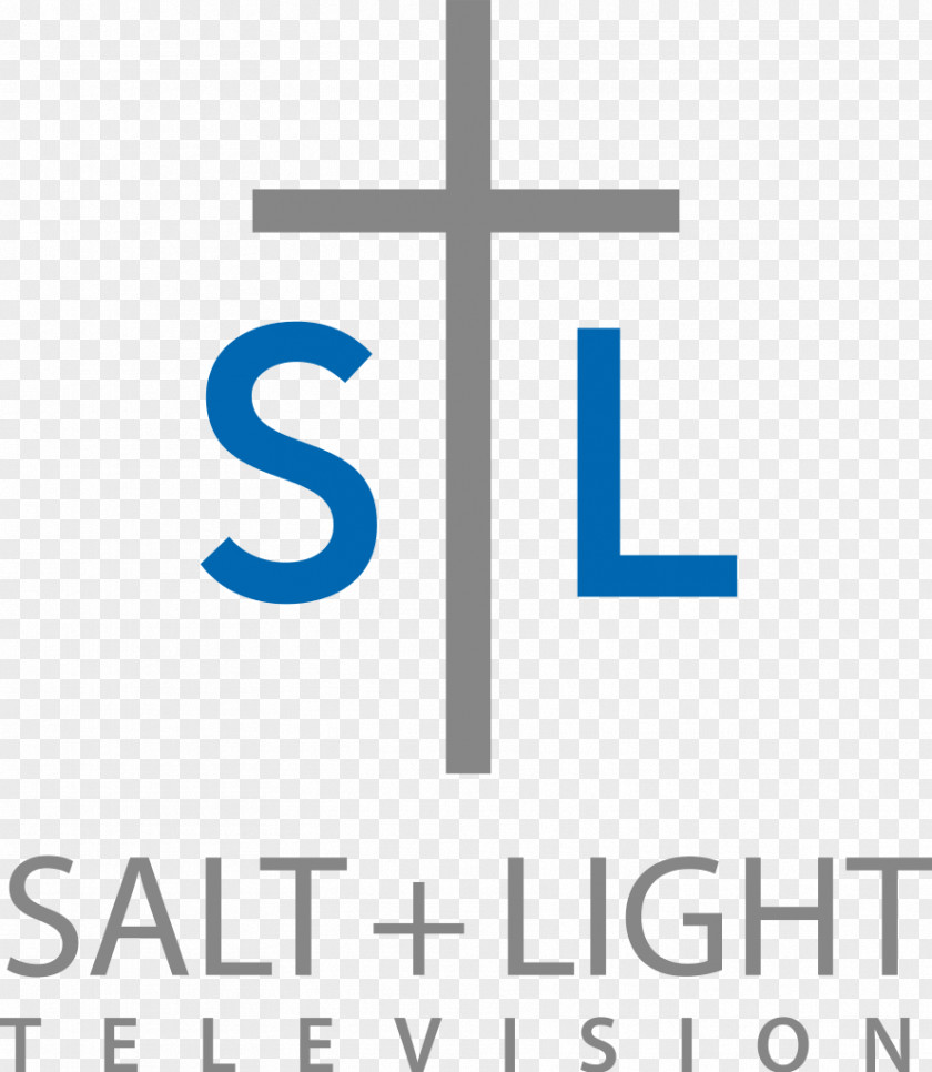 Salt Logo + Light Television Number And Brand PNG