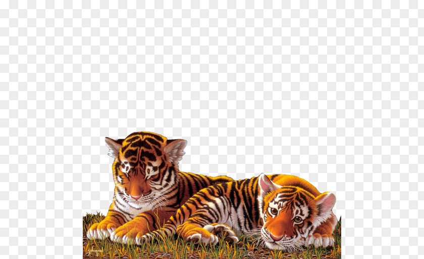 Tiger Work Of Art Painting Cat PNG