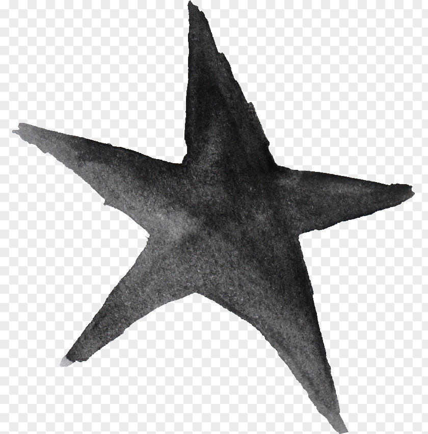 Watercolor Star Barnstar Metal Color PNG